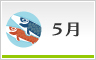 5月