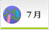 7月