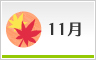 11月