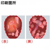 【受注生産品】冷えピタ 大人用2枚入 うちわ型タトウケース(小)の名入れイメージ